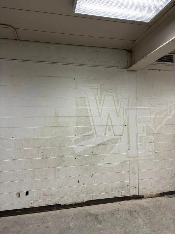 Pressure Washing