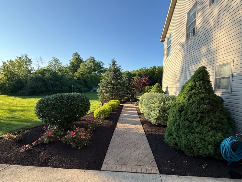 Shrub Trimming