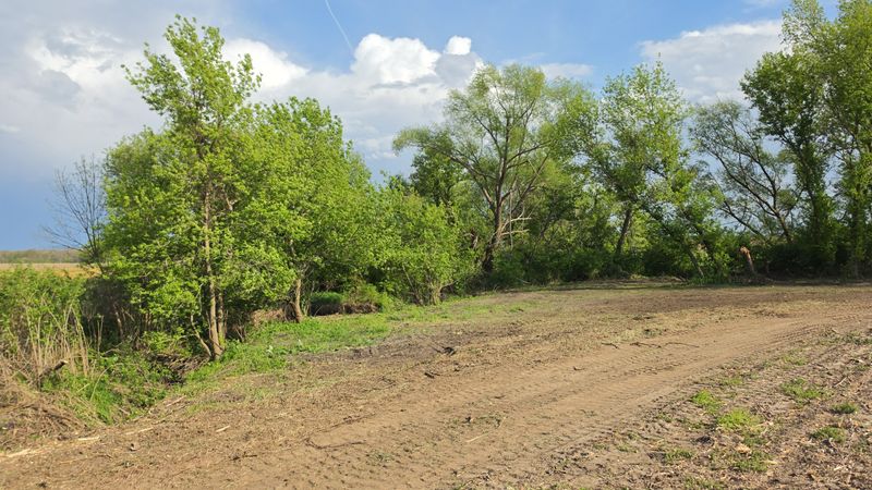 Land Clearing