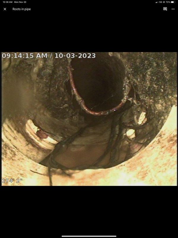 Camera / Cable