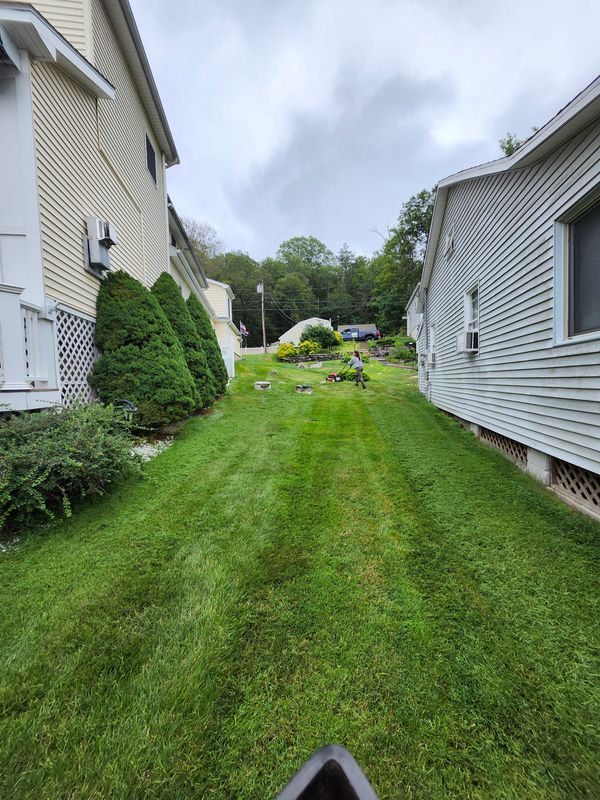 Lawn Mowing