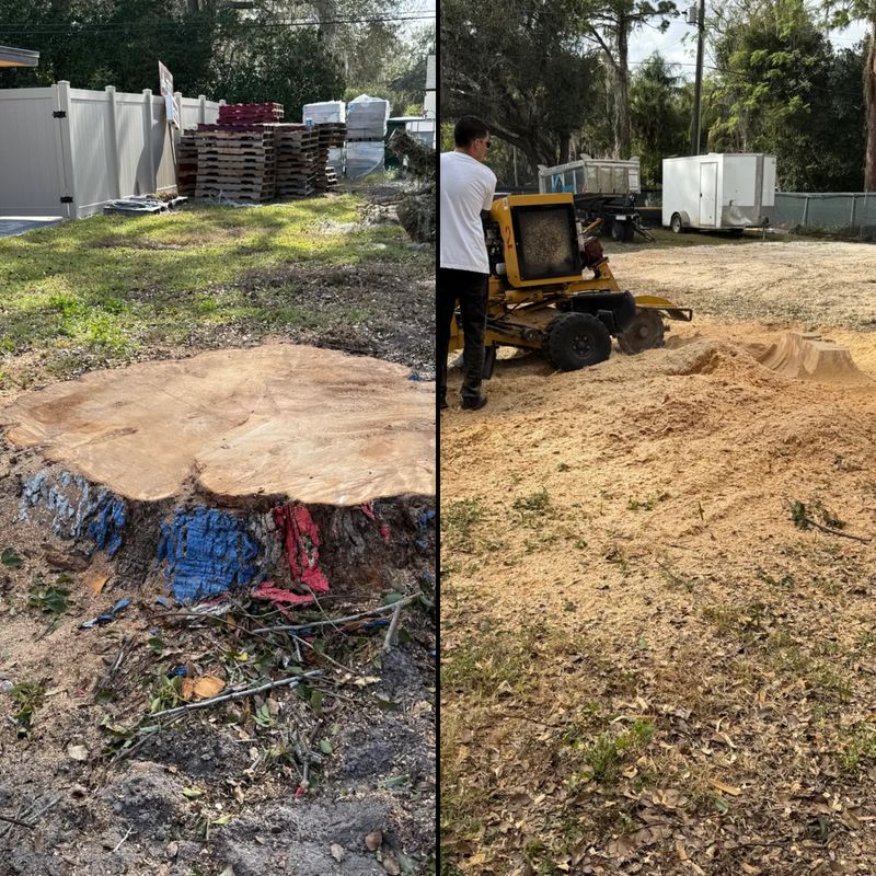 Land Clearing