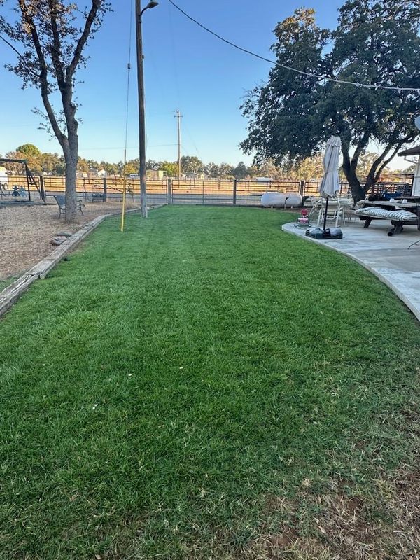 Lawn Maintenance