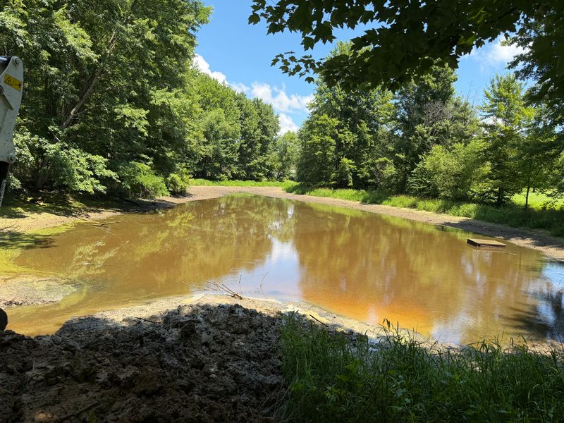 Pond Building and Maintenance