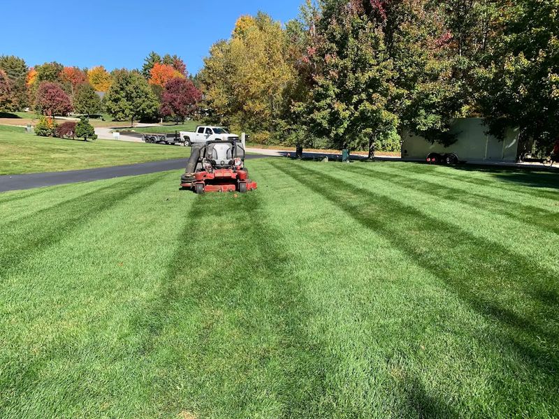 Landscape Maintenance