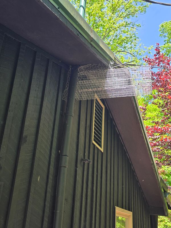 Exterior Renovations