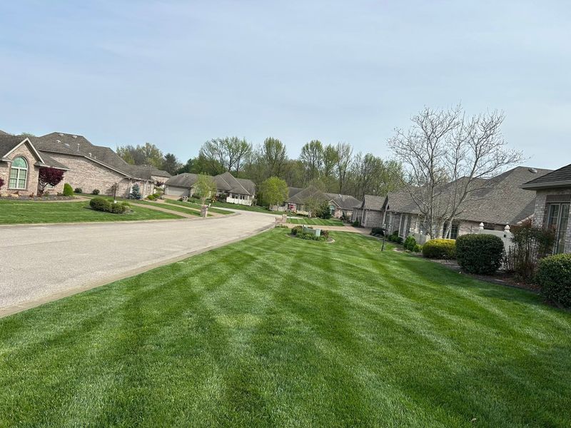 Lawn Mowing