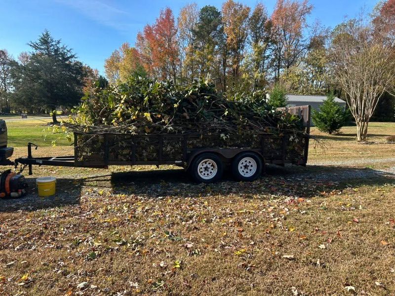 Fall and Spring Clean Up