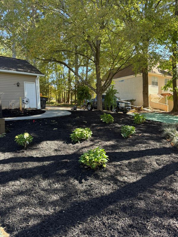 Hydroseeding