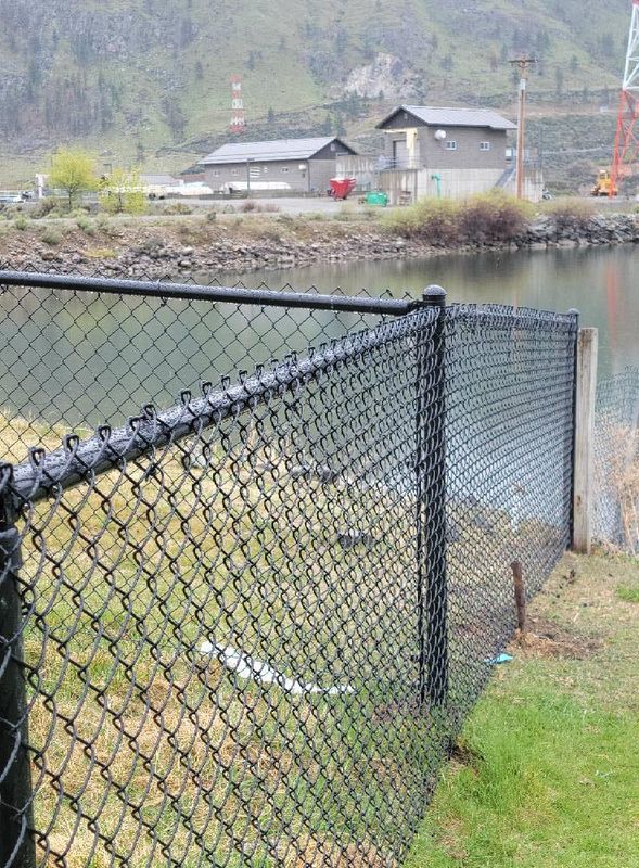 Fence Installation