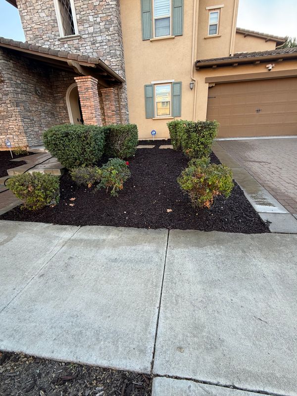 Landscaping