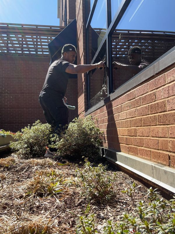 Window Cleaning gallery