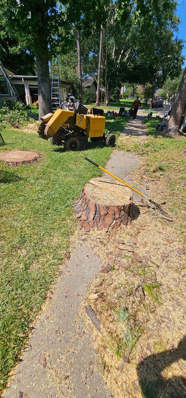 Tree Removal