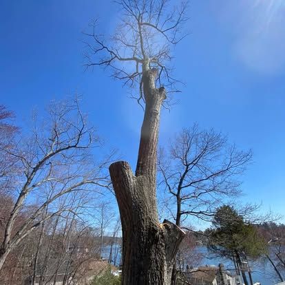 Pruning Services