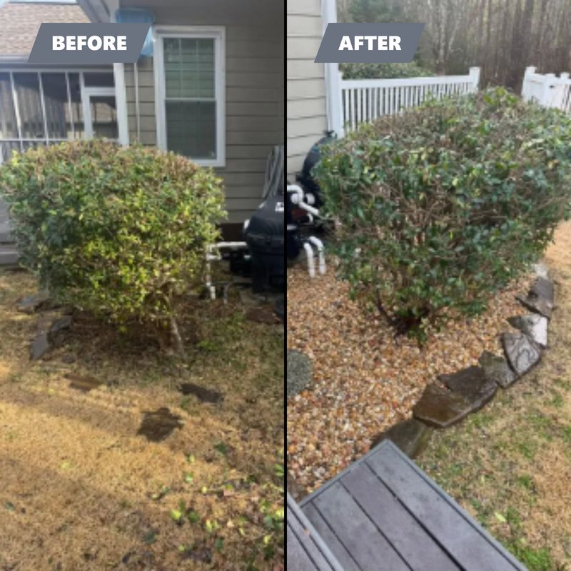 Tree & Shrub Care