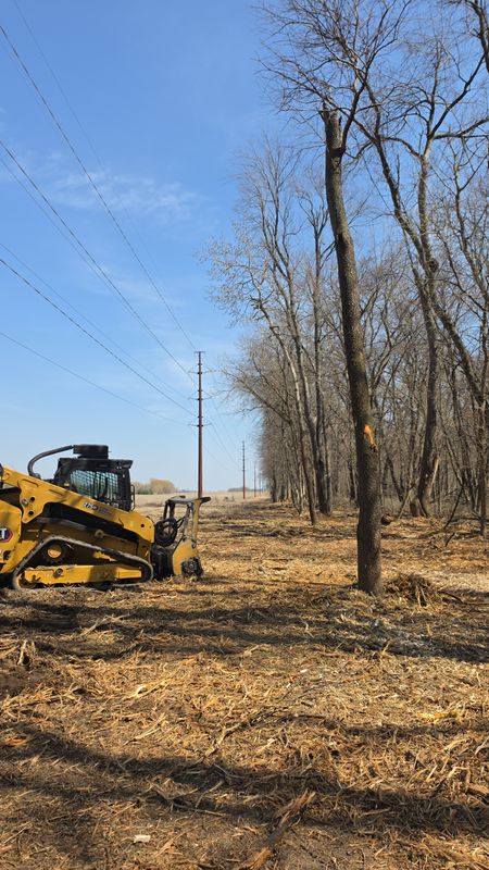 Forestry Mulching