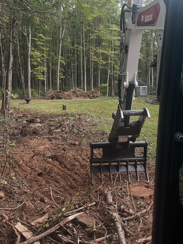 Stump Removal
