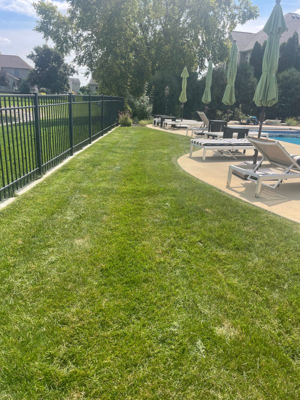 Lawn Maintenance