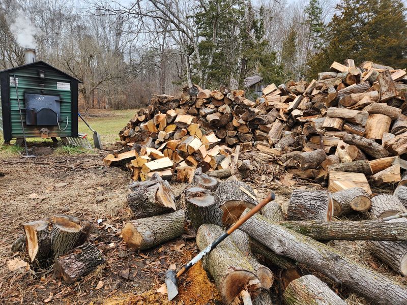 Firewood