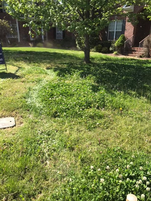 Lawn Care