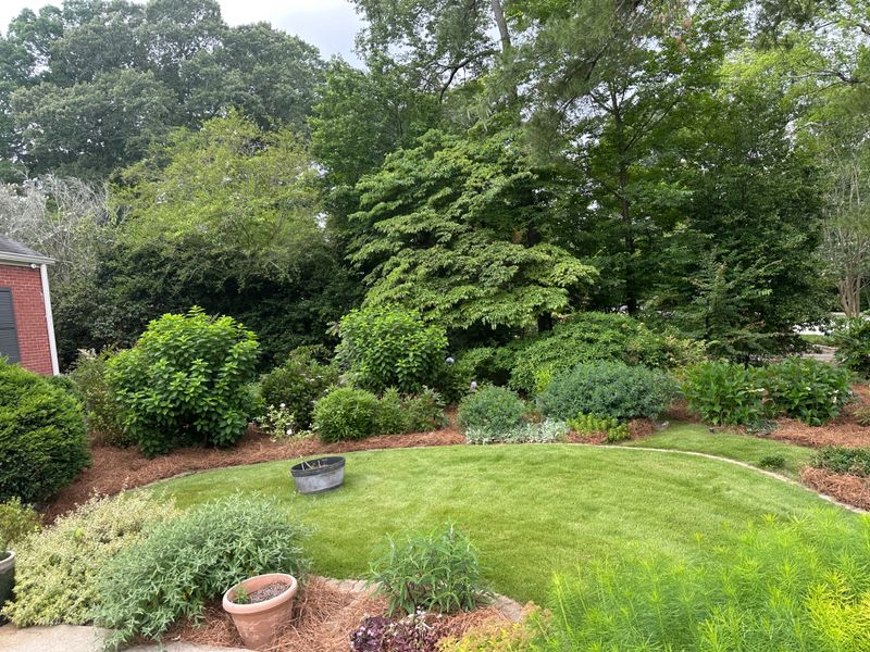 Lawn Care & Maintenance