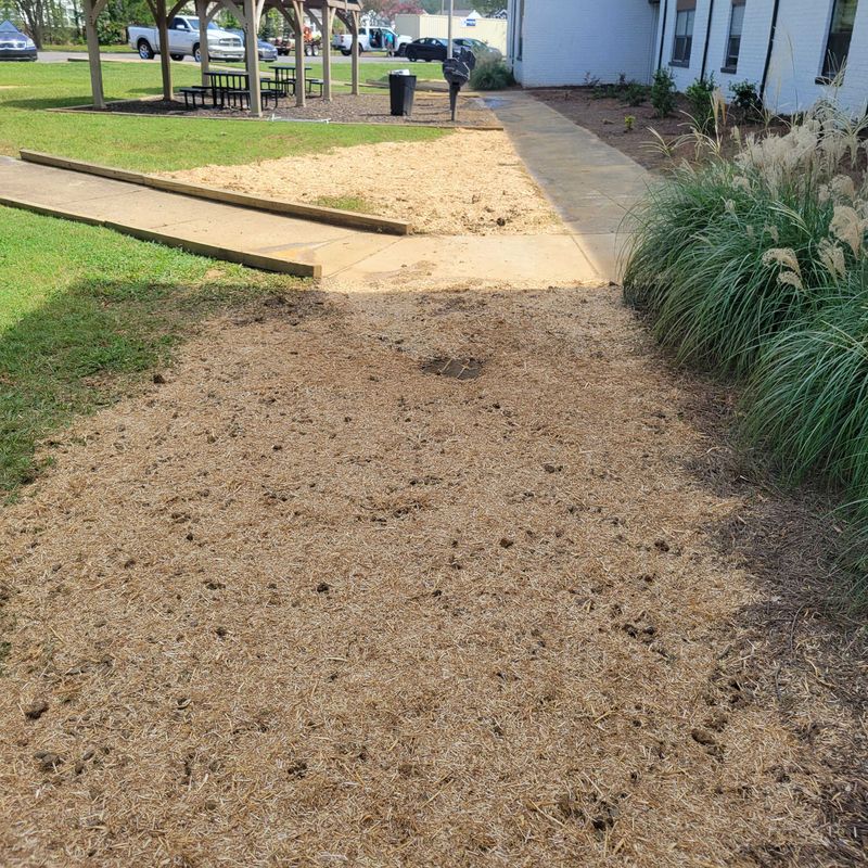 Lawn Drains