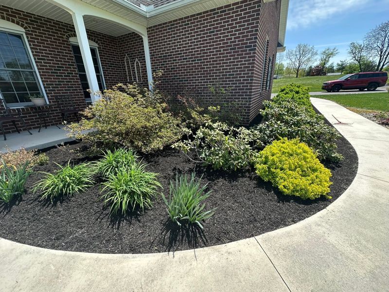 Landscape Design