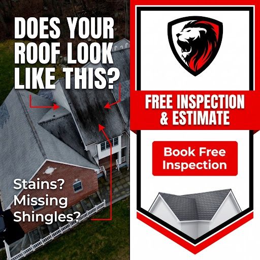 Roofing Repairs