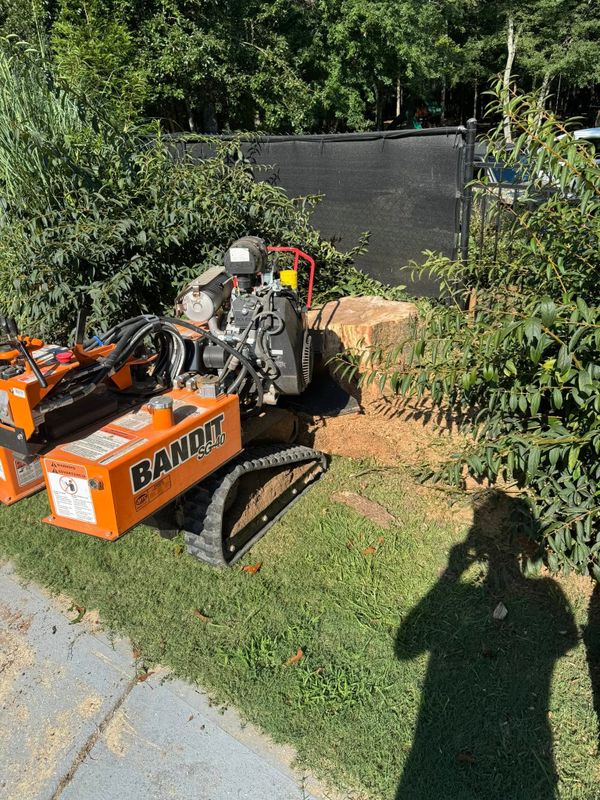 Stump Grinding gallery