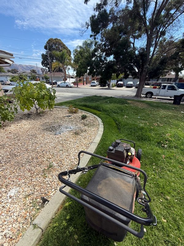 Landscaping