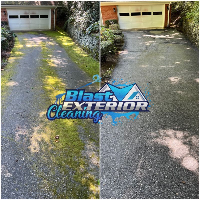 Driveway and Sidewalk Cleaning