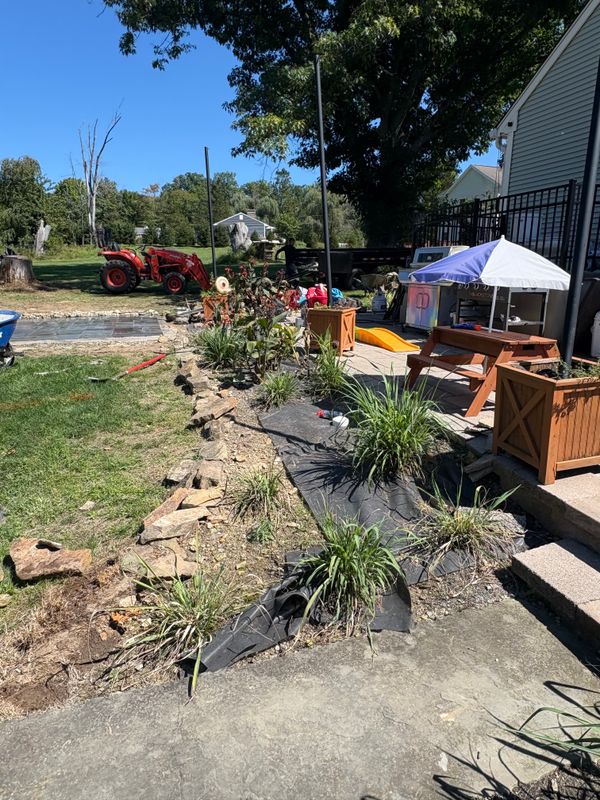 Tree Removal