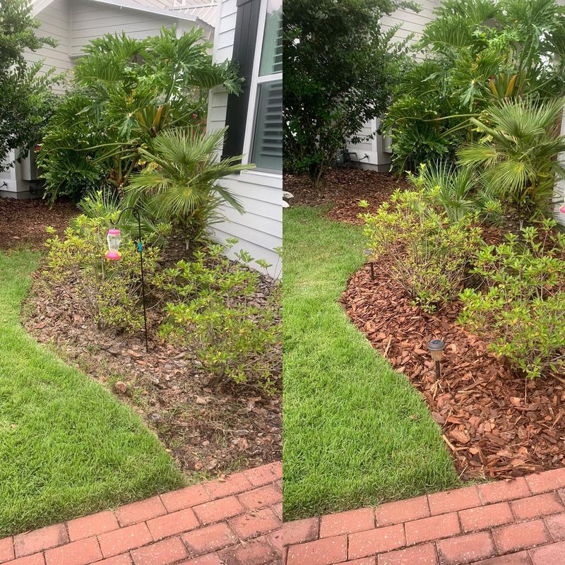 Landscape & Property Cleanup