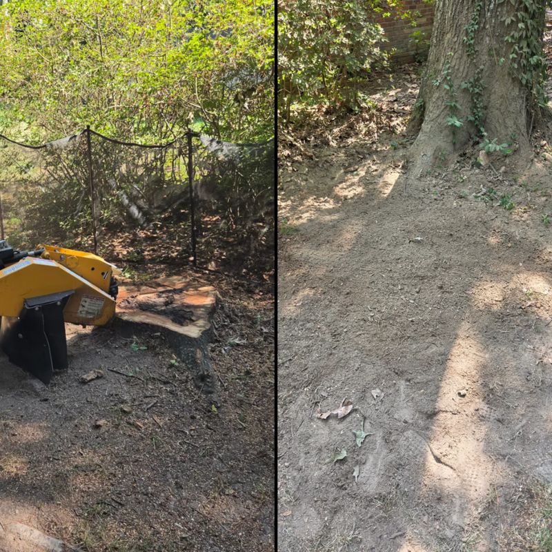 Stump Grinding