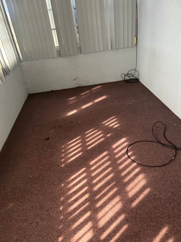 House Cleanout