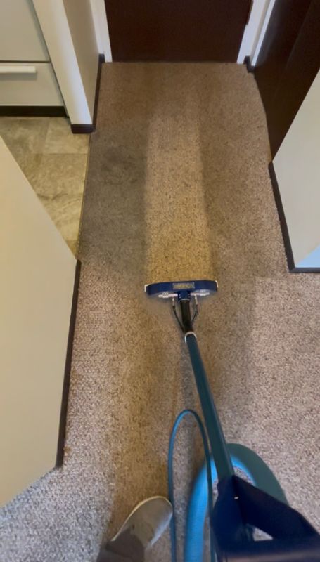 Carpet Cleaning