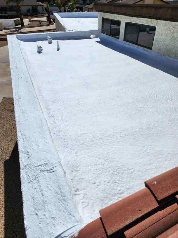 Foam