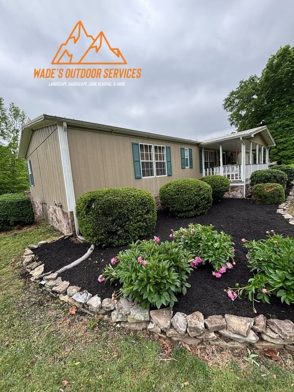Tree & Shrub Care