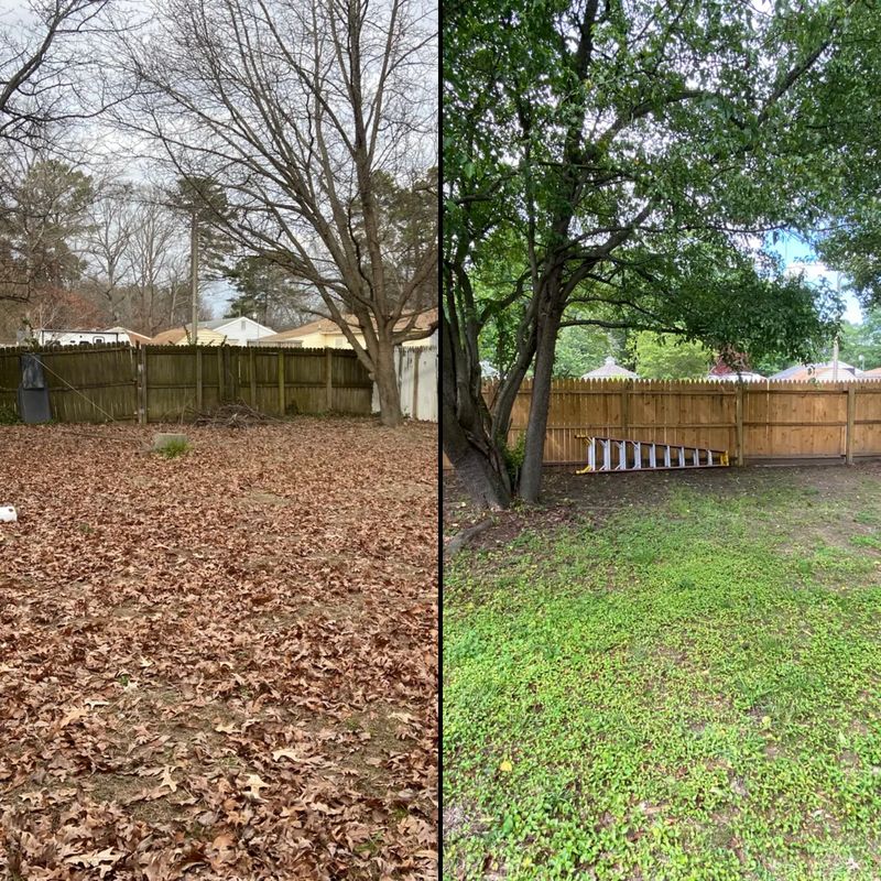 Renovation Projects
