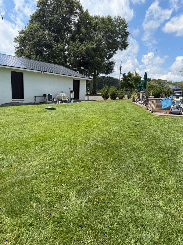 Lawn Maintenance