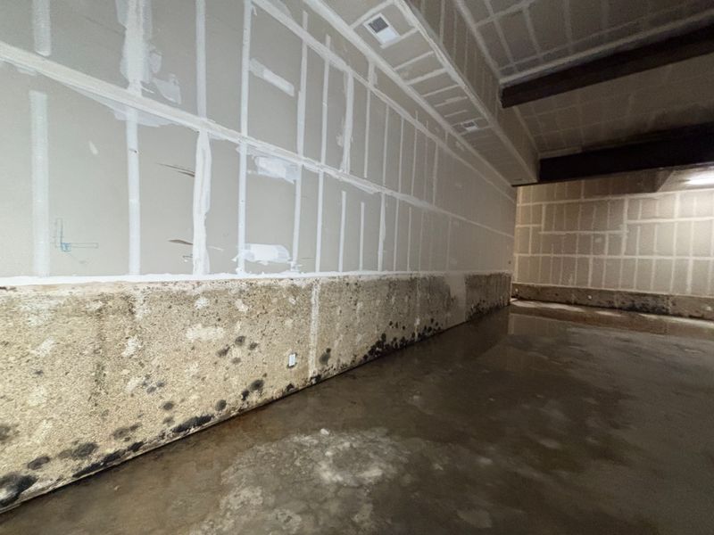 Mold Inspections