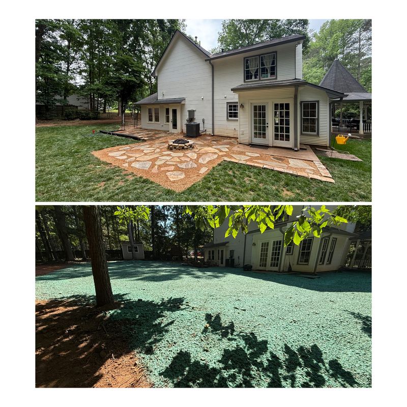 Sod Installation