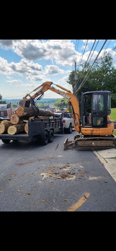 Tree Removal gallery