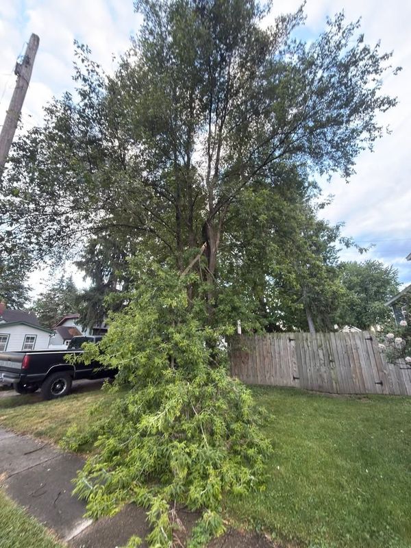 Emergency Storm Damage Cleanup