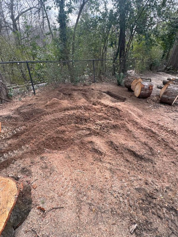 Stump Grinding gallery