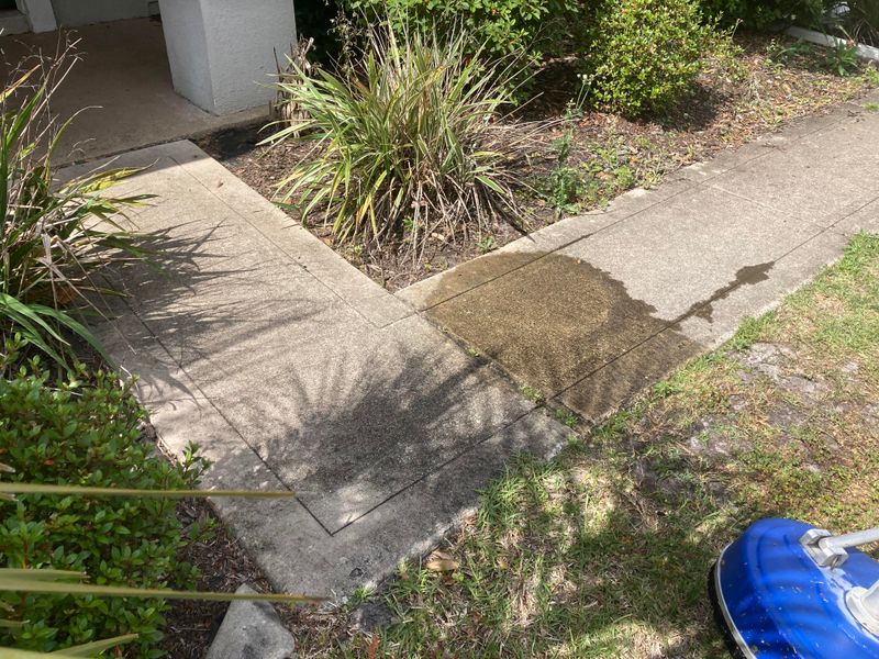 Exterior Cleaning