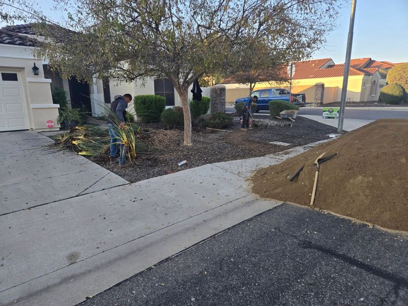 Landscaping & Hardscaping