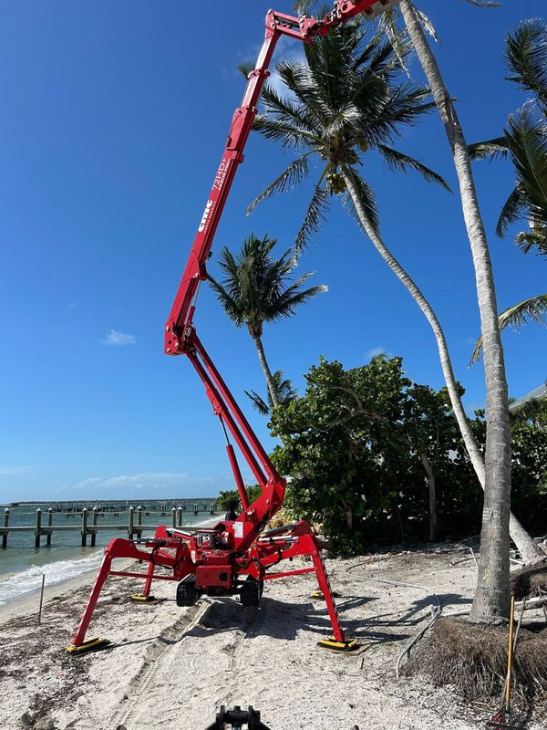 Tree Trimming