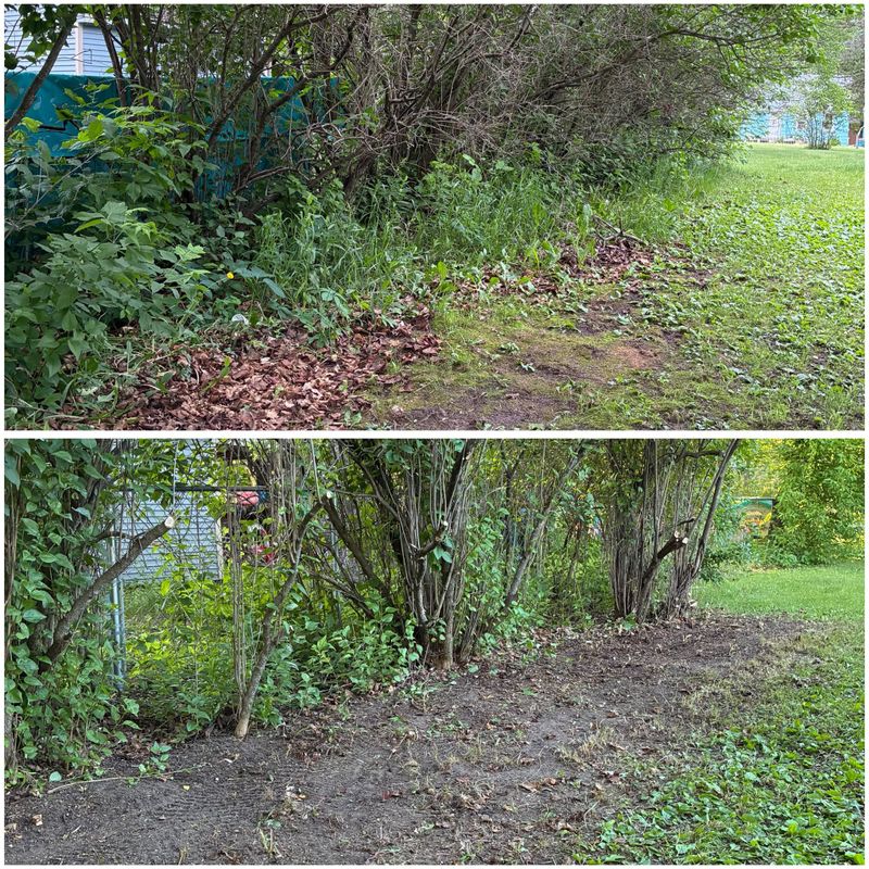 Landscaping