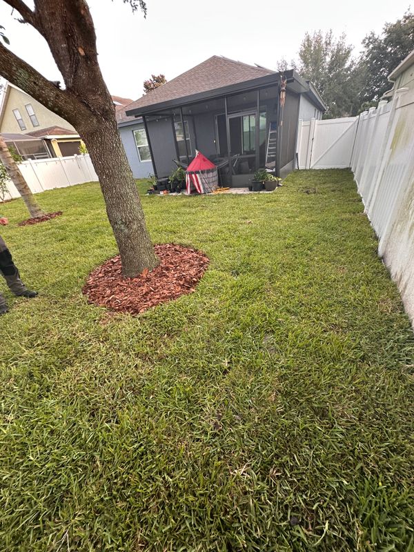 Sod Installation